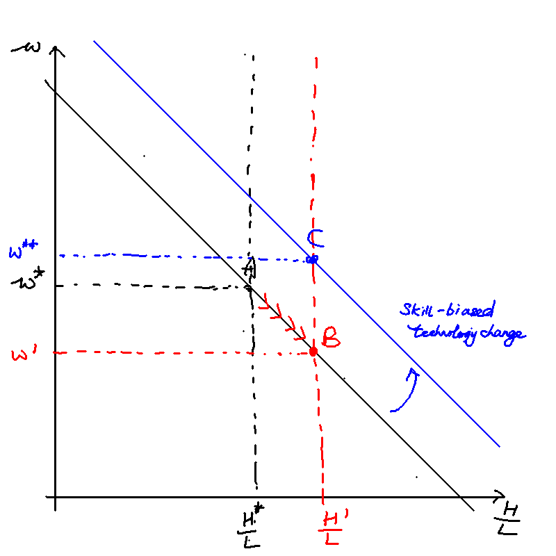 Skill-biased technology change can offset an increase in skilled labour,
causing the wage labour to increase